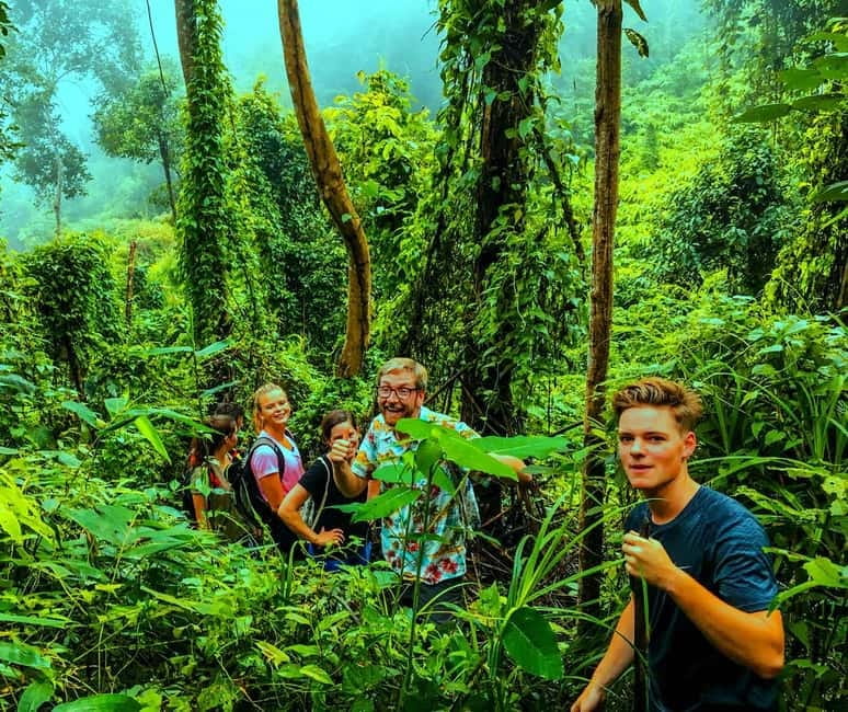 Chiang Mai: 7-Hour Doi Suthep National Park Summit Hiking - What the $60 price really covers