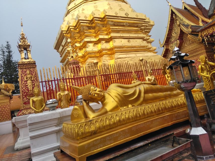 Chiang Mai: 7-Hour Doi Suthep National Park Summit Hiking - How difficult is the hike?