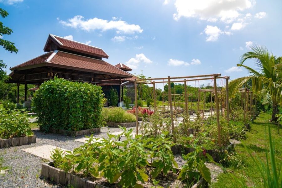 Chiang Mai: Authentic Cooking Class with Market & Farm Visit - Grandma’s Organic Farm and the Mushroom Hut