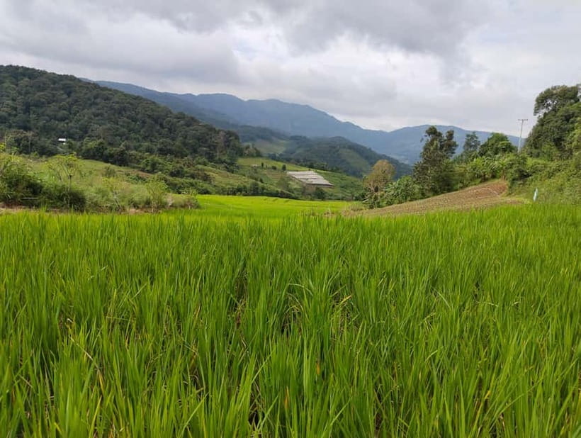 Chiang Mai Authentic Trekking - Viewpoints before Khun Poi Village