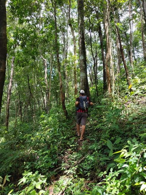 Chiang Mai Authentic Trekking - Meeting the Karen community at Khun Poi