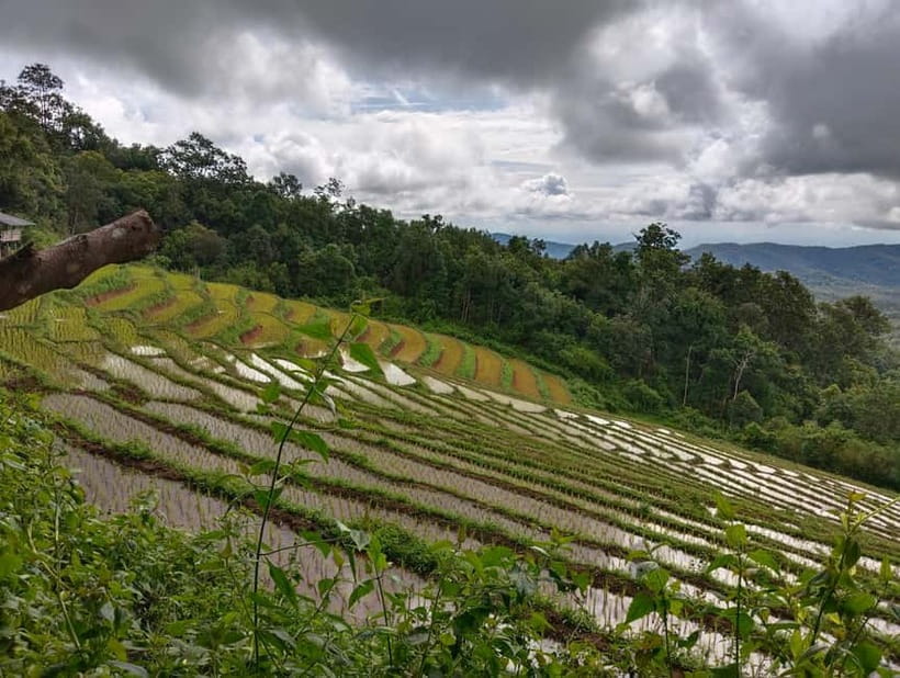 Chiang Mai Authentic Trekking - Reaching Phalai Mountain Peak