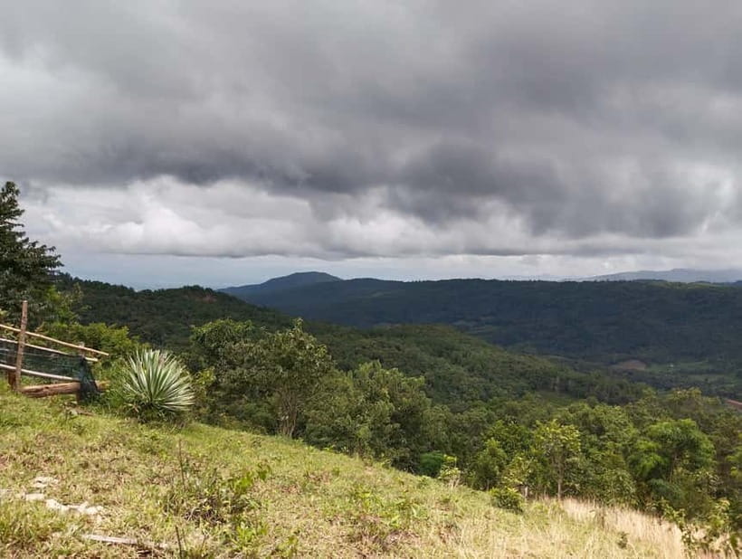 Chiang Mai Authentic Trekking - Farms, coffee, and a path back downhill