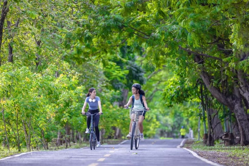 Chiang Mai Bicycle: Into The Lanna Countryside Guided Tour - Guides who turn scenery into a story
