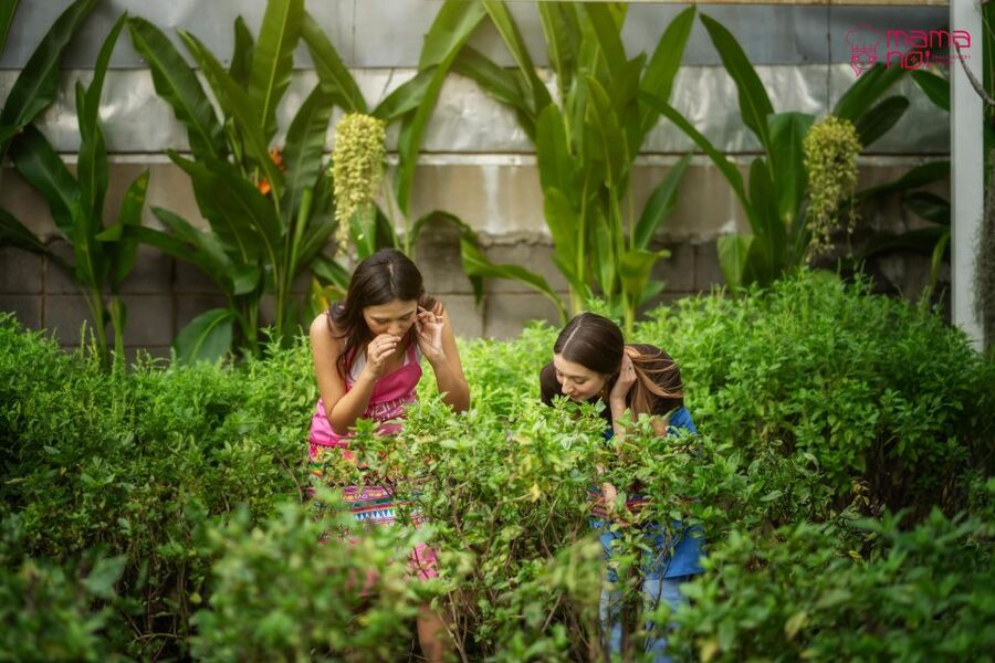 Chiang Mai: Cooking Class with Organic Farm at Mama Noi - Eating the meal you prepared