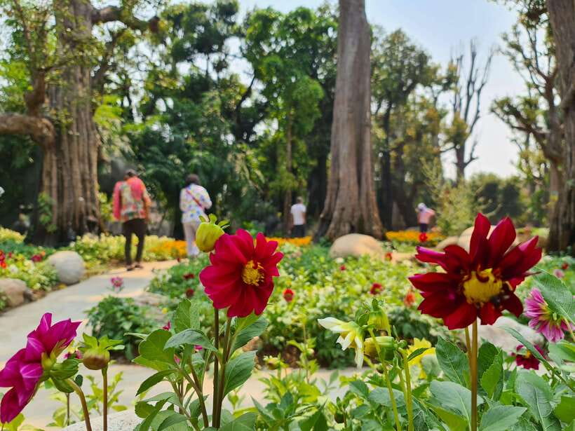 Chiang Mai: Dantewada Land of Angels & Sticky Waterfall Tour - How the five-hour route works