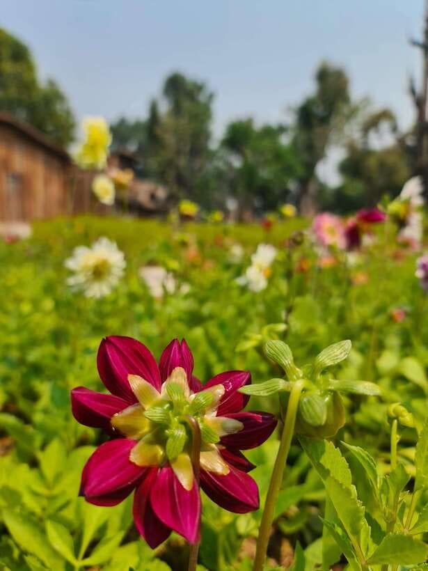 Chiang Mai: Dantewada Land of Angels & Sticky Waterfall Tour - Sun, water, and the right clothes