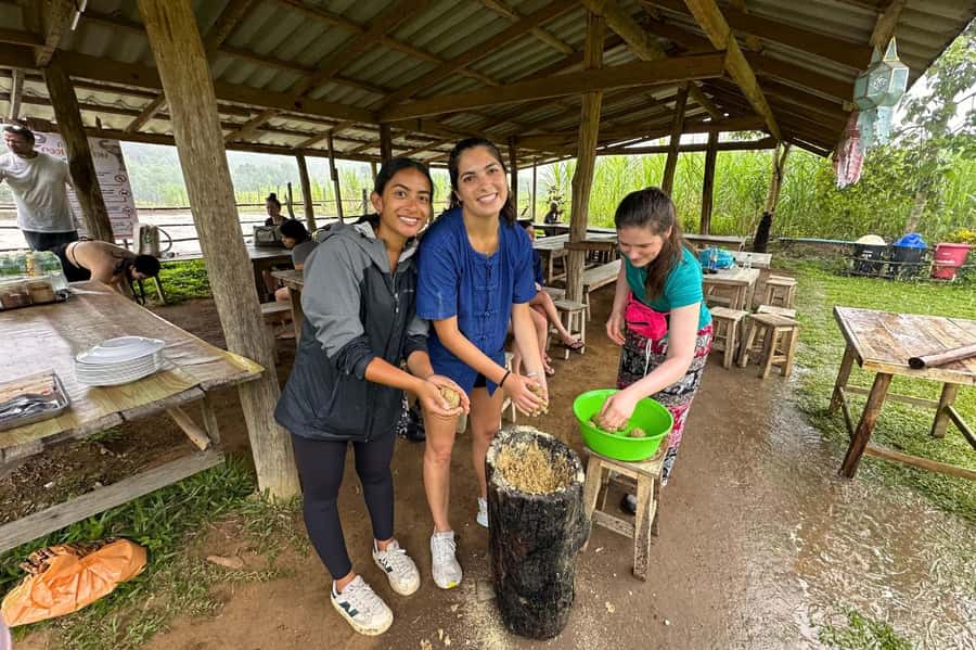 Chiang Mai: Day for Elephant Observation Only Half-day Trip - Preparing natural food and vitamin balls