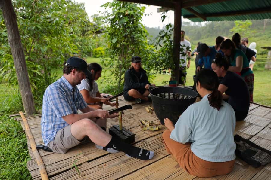 Chiang Mai: Day for Elephant Observation Only Half-day Trip - Cooking Pad Thai in the hills