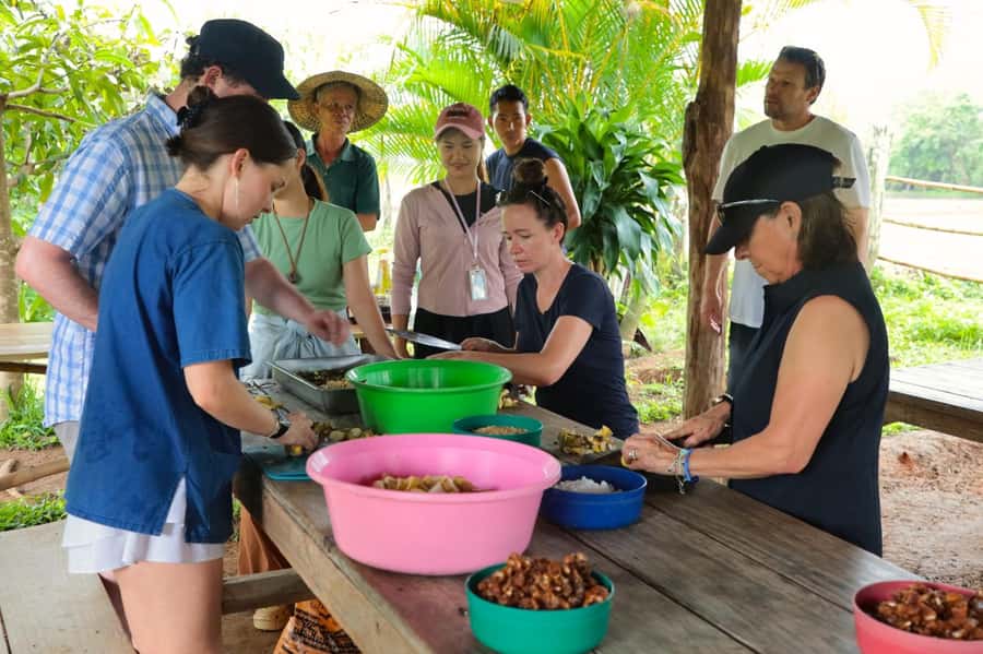 Chiang Mai: Day for Elephant Observation Only Half-day Trip - Small details that improve the day