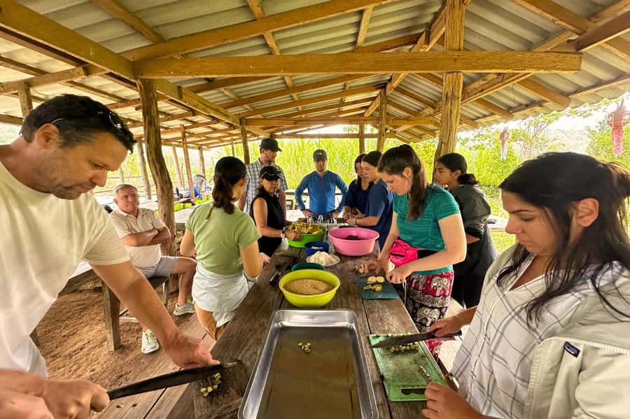 Chiang Mai: Day for Elephant Observation Only Half-day Trip - Starting with an elephant education briefing