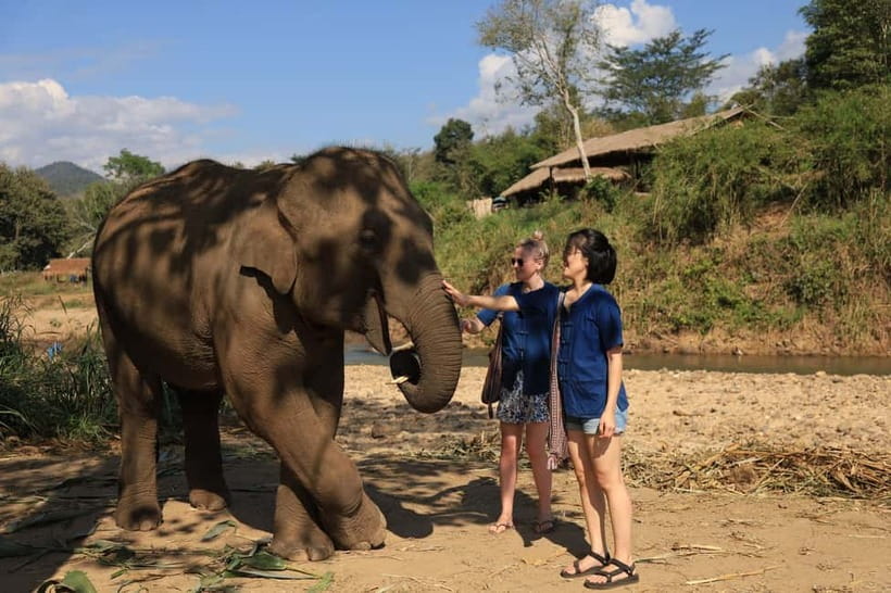 Chiang Mai: Doi Inthanon Hiking & Elephant Sanctuary Program - Pad Thai before the mountain road