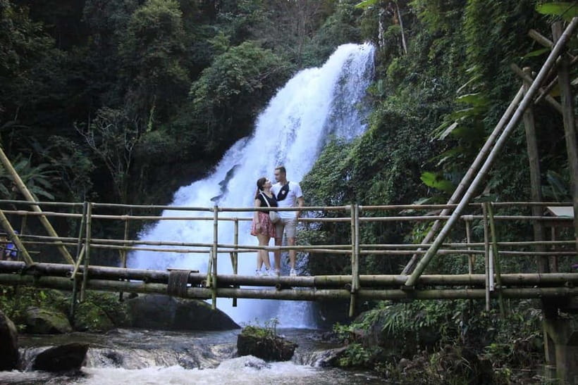 Chiang Mai: Doi Inthanon Hiking & Elephant Sanctuary Program - The return to Chiang Mai