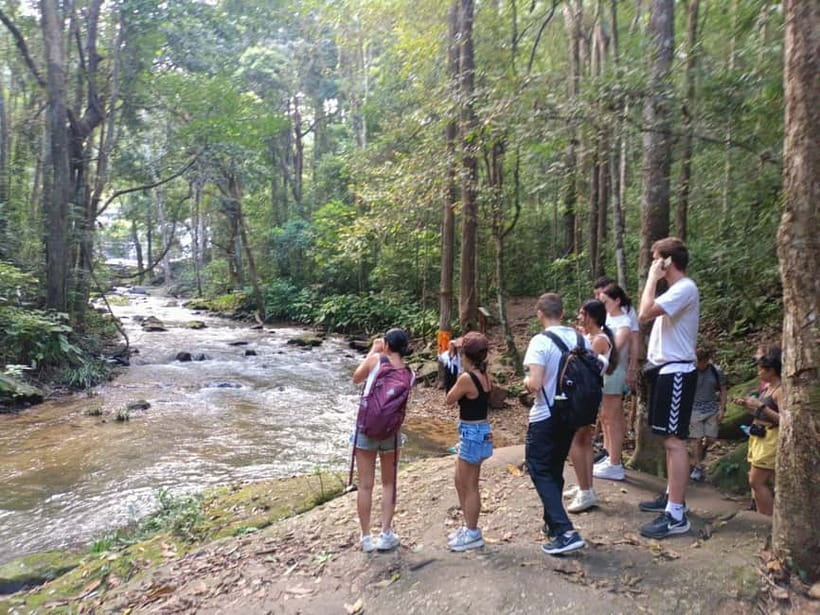 Chiang Mai: Doi Inthanon Hiking & Elephant Sanctuary Program - What to pack and who should book