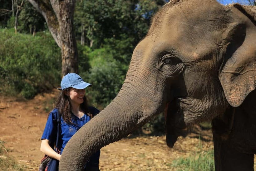 Chiang Mai: Doi Inthanon Hiking & Elephant Sanctuary Program - The morning drive from Chiang Mai