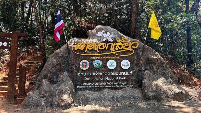 Chiang Mai: Doi Inthanon National Park and Pha Dok Siew Trek - Why Doi Inthanon works as a Chiang Mai day trip