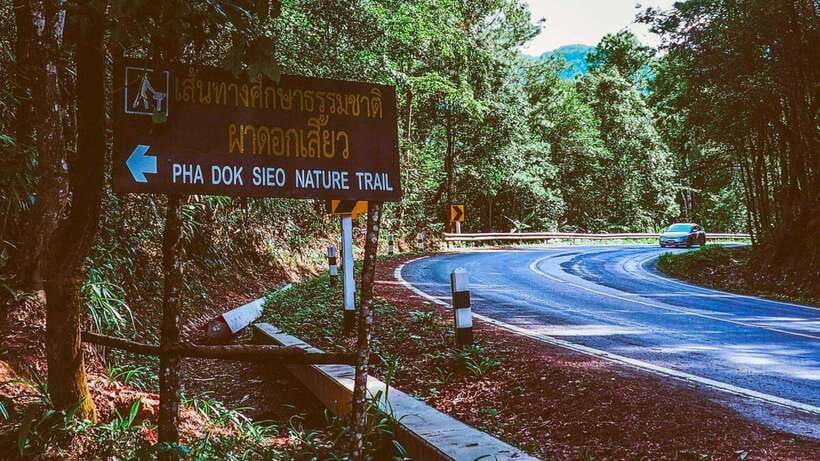 Chiang Mai: Doi Inthanon National Park and Pha Dok Siew Trek - Walking the Pha Dok Siew Nature Trail