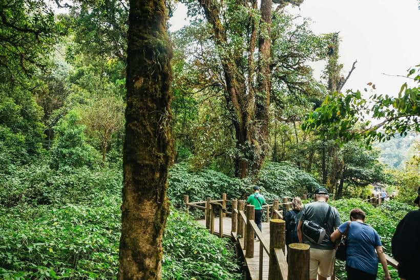 Chiang Mai: Doi Inthanon National Park Eco-Friendly Tour - Key points at a glance
