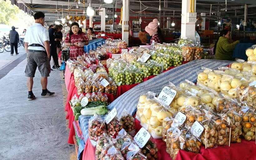 Chiang Mai:Doi Inthanon National Park & Hike at Kew Mae Pan - The van ride and the pace of the day