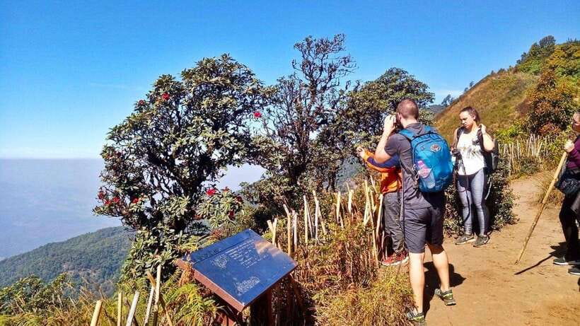 Chiang Mai:Doi Inthanon National Park & Hike at Kew Mae Pan - The Royal Pagodas and the rules for visiting