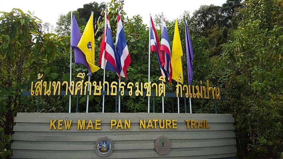 Chiang Mai:Doi Inthanon National Park & Hike at Kew Mae Pan - Kew Mae Pan: the best reason to choose this tour