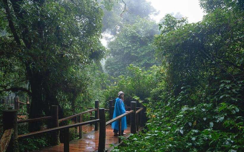 Chiang Mai: Doi Inthanon National Park Sightseeing Only - Guide quality and the meaning of sightseeing only