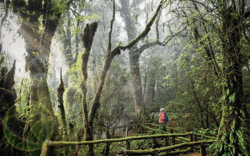Chiang Mai: Doi Inthanon National Park Sightseeing Only - The Twin Pagodas and their wide views