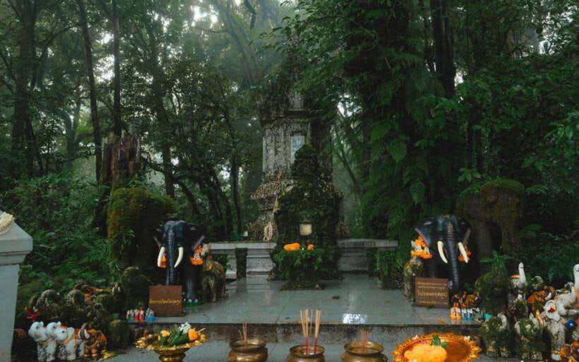 Chiang Mai: Doi Inthanon National Park Sightseeing Only - The Hmong market and the village coffee stop