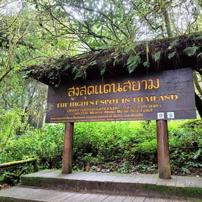 Chiang Mai: Doi Inthanon National Park+Trek Pha Dok Siew - Key points to know before booking
