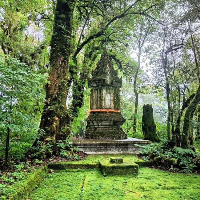 Chiang Mai: Doi Inthanon National Park+Trek Pha Dok Siew - The King and Queen Pagodas and their gardens
