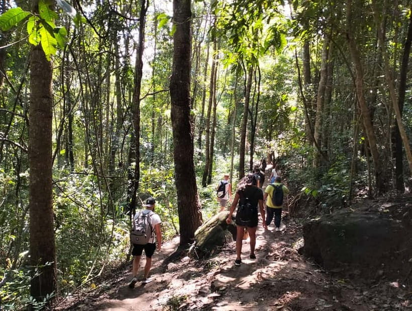 Chiang Mai: Doi Inthanon National Park+Trek Pha Dok Siew - A two-hour walk on Pha Dok Siew Nature Trail
