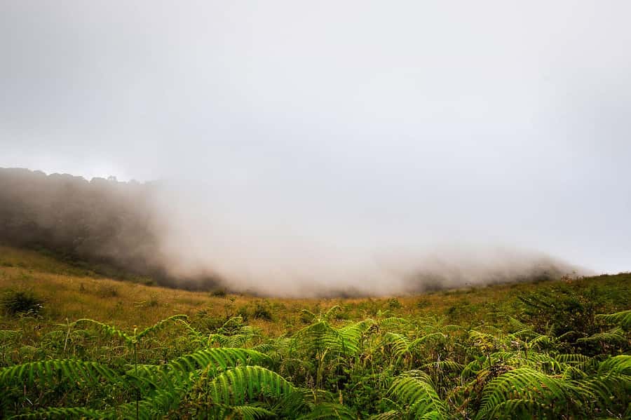 Chiang Mai: Doi Inthanon National Park, Waterfall & Lunch - Why Doi Inthanon makes a worthwhile day trip