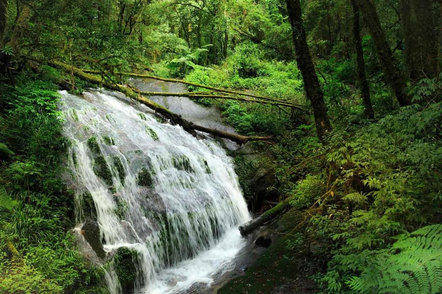 Chiang Mai: Doi Inthanon National Park, Waterfall & Lunch - Waterfalls and the sound of the park