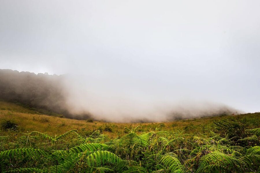 Chiang Mai: Doi Inthanon National Park, Waterfall & Lunch - The King and Queen Pagodas