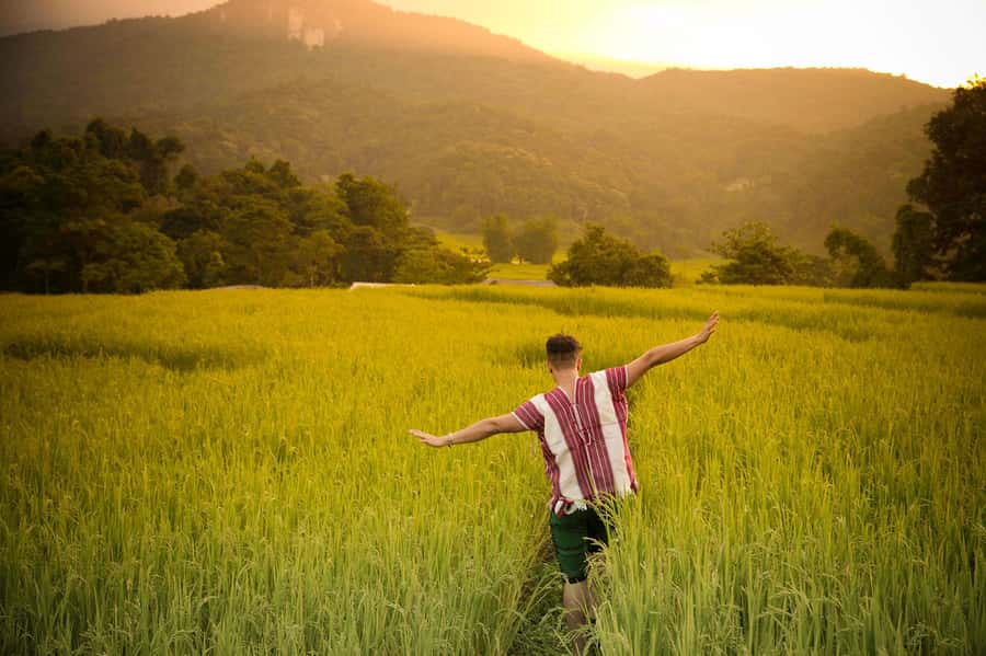Chiang Mai: Doi Inthanon National Park, Waterfall & Lunch - How much walking is involved?