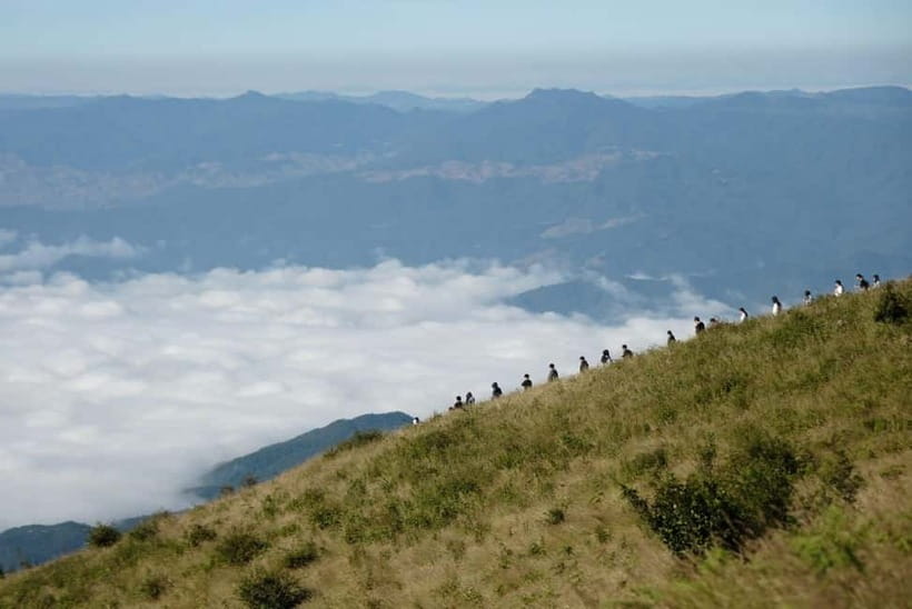 Chiang Mai: Doi Inthanon Park and Kew Mae Pan 2-Hour Hike - Key points to know before booking