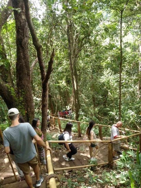 Chiang Mai: Doi Inthanon Park and Pha Dok Siew Hike Day Trip - Rice terraces and the meaning of mountain farming