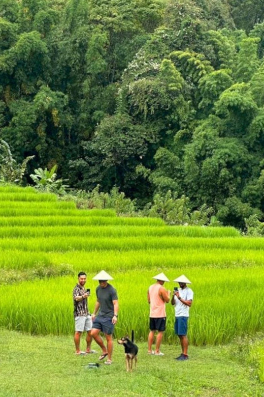 Chiang Mai: Doi Inthanon Park and Pha Dok Siew Trail Trek - Why Doi Inthanon works so well as a day trip