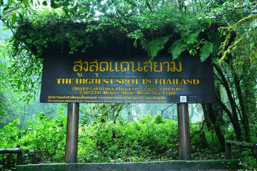 Chiang Mai: Doi Inthanon Park Tour & Kew Mae Pan Trail Hike - Key points to know before booking