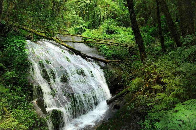Chiang Mai: Doi Inthanon Park Tour & Kew Mae Pan Trail Hike - Kew Mae Pan: the hike that decides the trip