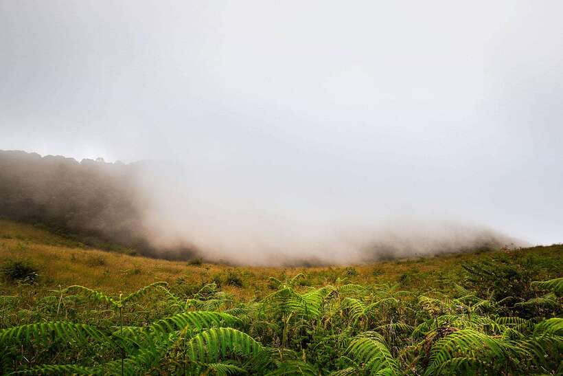 Chiang Mai: Doi Inthanon Park Tour & Kew Mae Pan Trail Hike - Lunch, group size, and what the $51 price means
