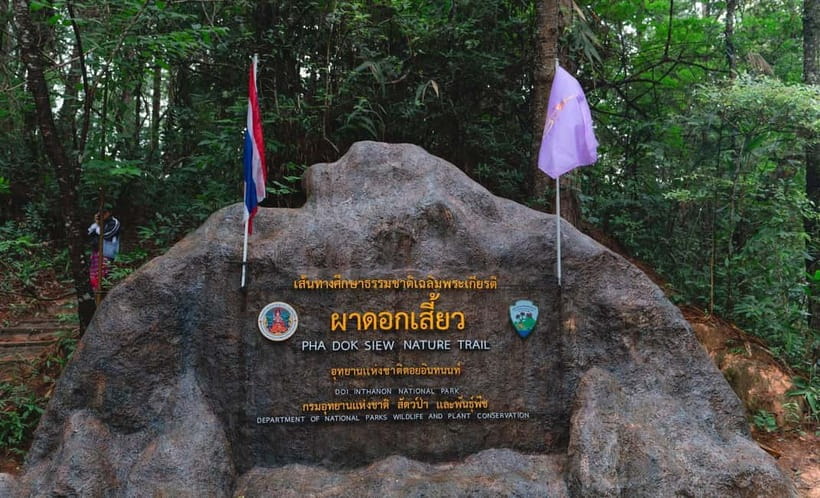 Chiang Mai: Doi Inthanon Trip with Pha Dok Siew Guided Trek - A full day on Thailand’s Roof