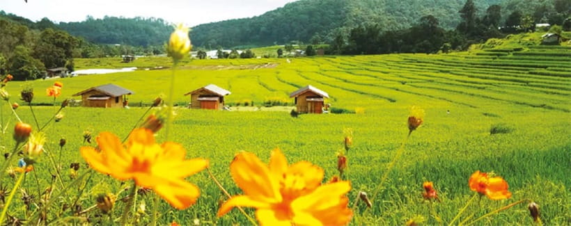 Chiang Mai: Doi Inthanon Trip with Pha Dok Siew Guided Trek - Lunch in Karen country