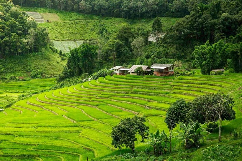 Chiang Mai: Doi Inthanon Trip with Pha Dok Siew Guided Trek - The King and Queen Pagodas