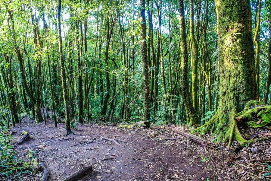 Chiang Mai: Doi Inthanon, Waterfalls, & Tribal Villages Tour - Weather, clothing, and practical planning