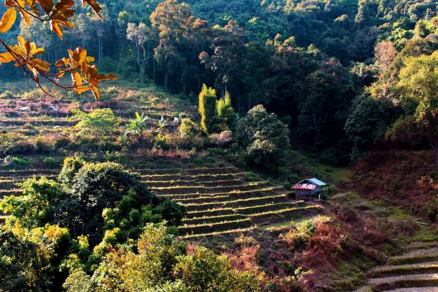 Chiang Mai: Doi Inthanon, Waterfalls, & Tribal Villages Tour - What the $36 price really includes