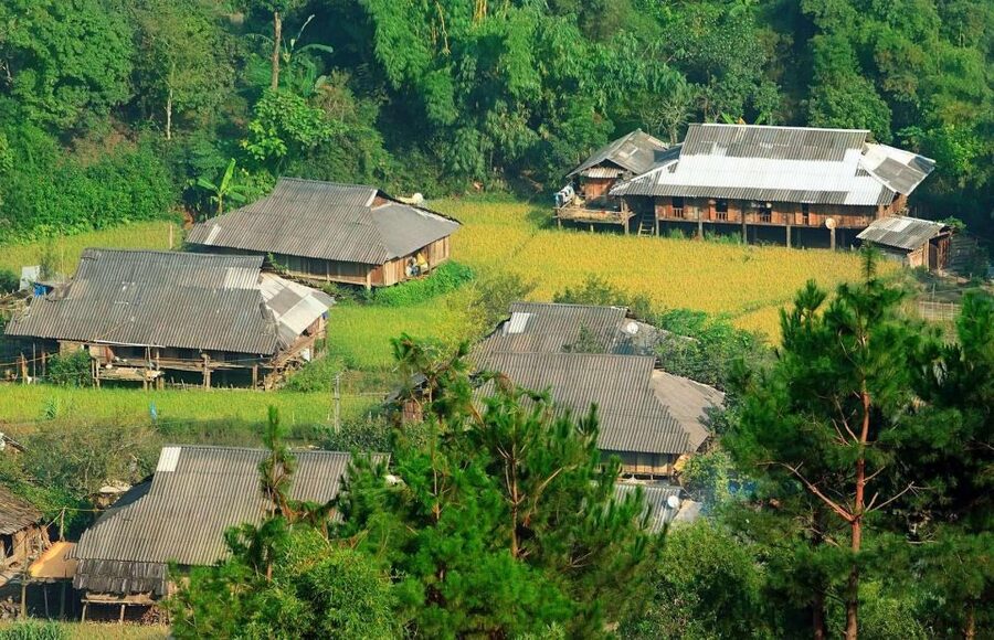 Chiang Mai: Doi Suthep and Hmong Village Half-Day Tour - Taking the tram or climbing 306 steps