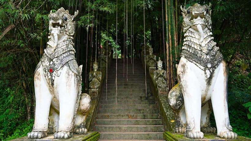 Chiang Mai: Doi Suthep and Wat Pha Lat Temple Evening Tour - Who Will Get the Most From This Tour