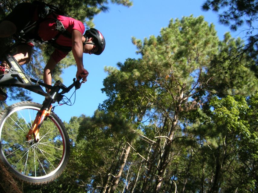Chiang Mai: Doi Suthep National Park Leisure Hiking & Biking - The downhill ride: fun, but know the road