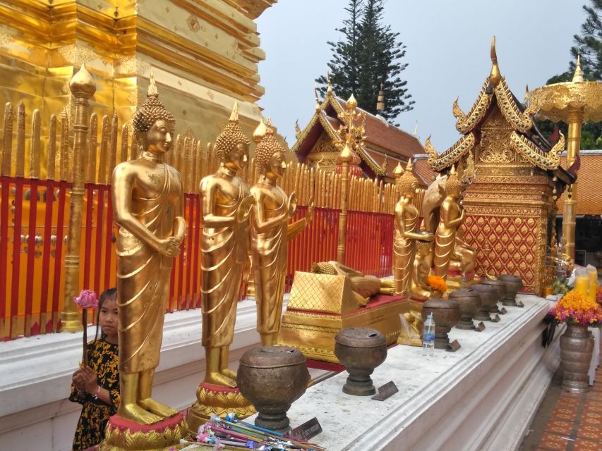 Chiang Mai: Doi Suthep National Park Leisure Hiking & Biking - Wat Pha Lat, the calmer final temple